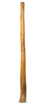 Tristan O'Meara Didgeridoo (TM254)